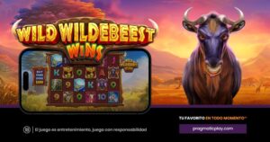 Wild Wildebeest Wins